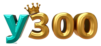 y300